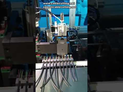 Máy xâu vỏ cao su tích hợp tuốt dây và đánh đầu cốt – Giải pháp tự động hóa dây điện