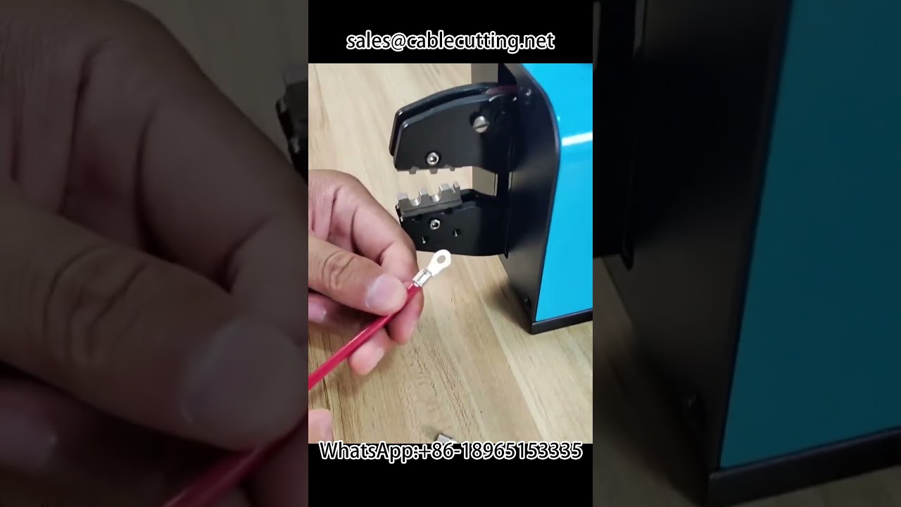 Non-Standard Wire Diameter Electric Terminal Crimping Machine