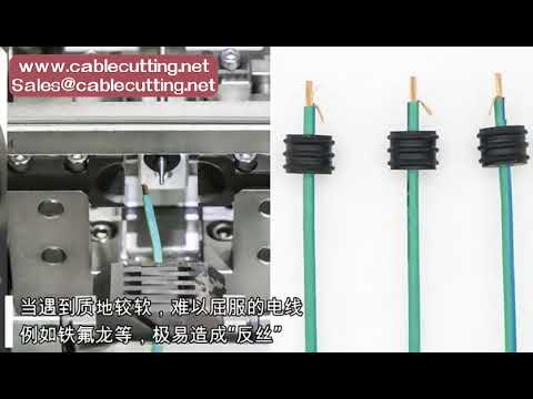 Máy cắt dây, tuốt dây, ép đầu cốt tự động tích hợp lắp gioăng cao su – Giải pháp tối ưu cho sản xuất dây cáp