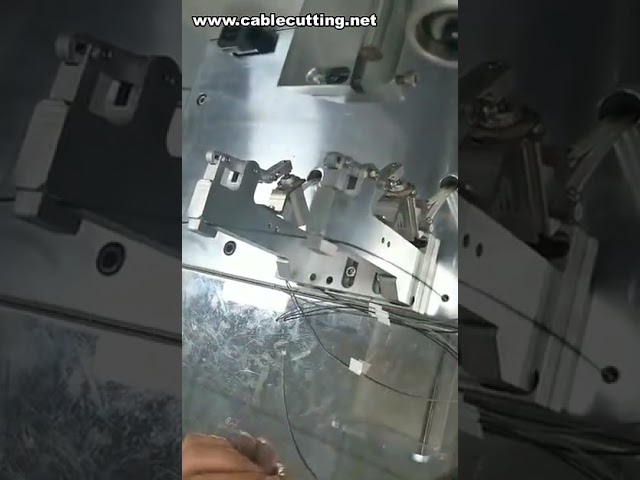 Máy dán nhãn dây điện, máy dán decal ô tô, máy dán nhãn gấp cờ cáp chuyên nghiệp