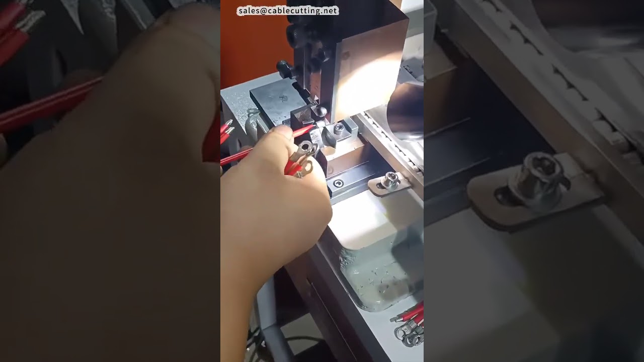 Máy cấp liệu rung cho đầu cọc đất - Video từ nhà sản xuất