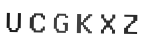 Verification Code Image